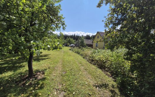 SODYBA SU 30 ARŲ ŽEMĖS SKLYPU IR MEDINIU NAMU J. DALINKEVIČIAUS GATVĖJE, NAUJOSIOS AKMENĖS MIESTE