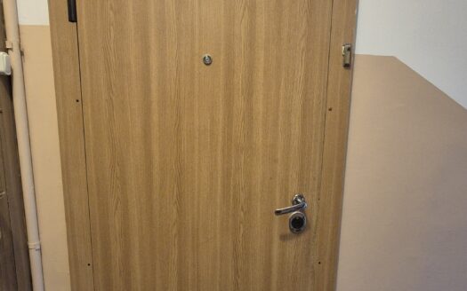 RENOVUOTŲ NAMŲ KVARTALE PARDUODAMAS VIENO KAMBARIO BUTAS SU BALKONU NAUJOSIOS AKMENĖS MIESTO CENTRE